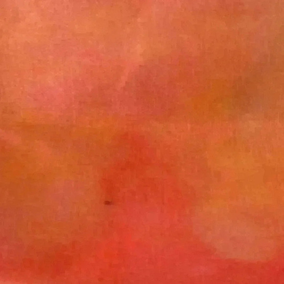 Victoria's Secret Bombshell Sundrenched Cotton Canvas Tote Carryall Bag - Picture 6 of 7